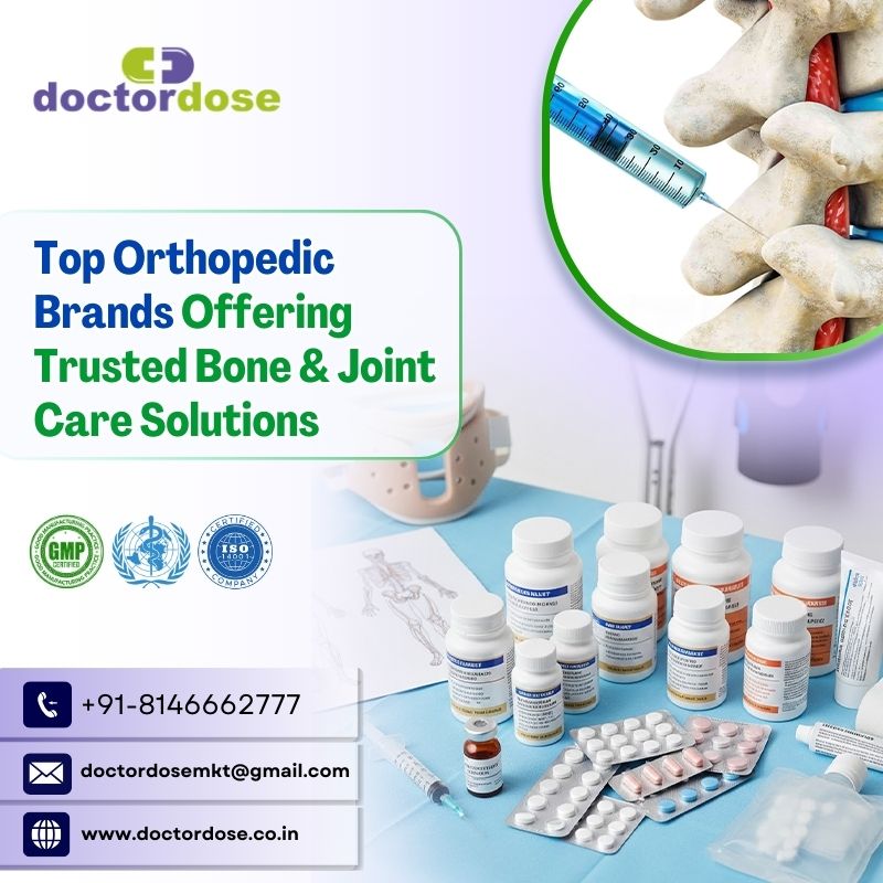 Top Orthopedic Brands Offering Trusted Bone & Joint Care Solutions